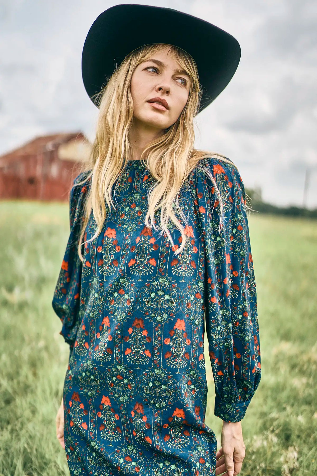 Crosby Dress in Midnight Garden