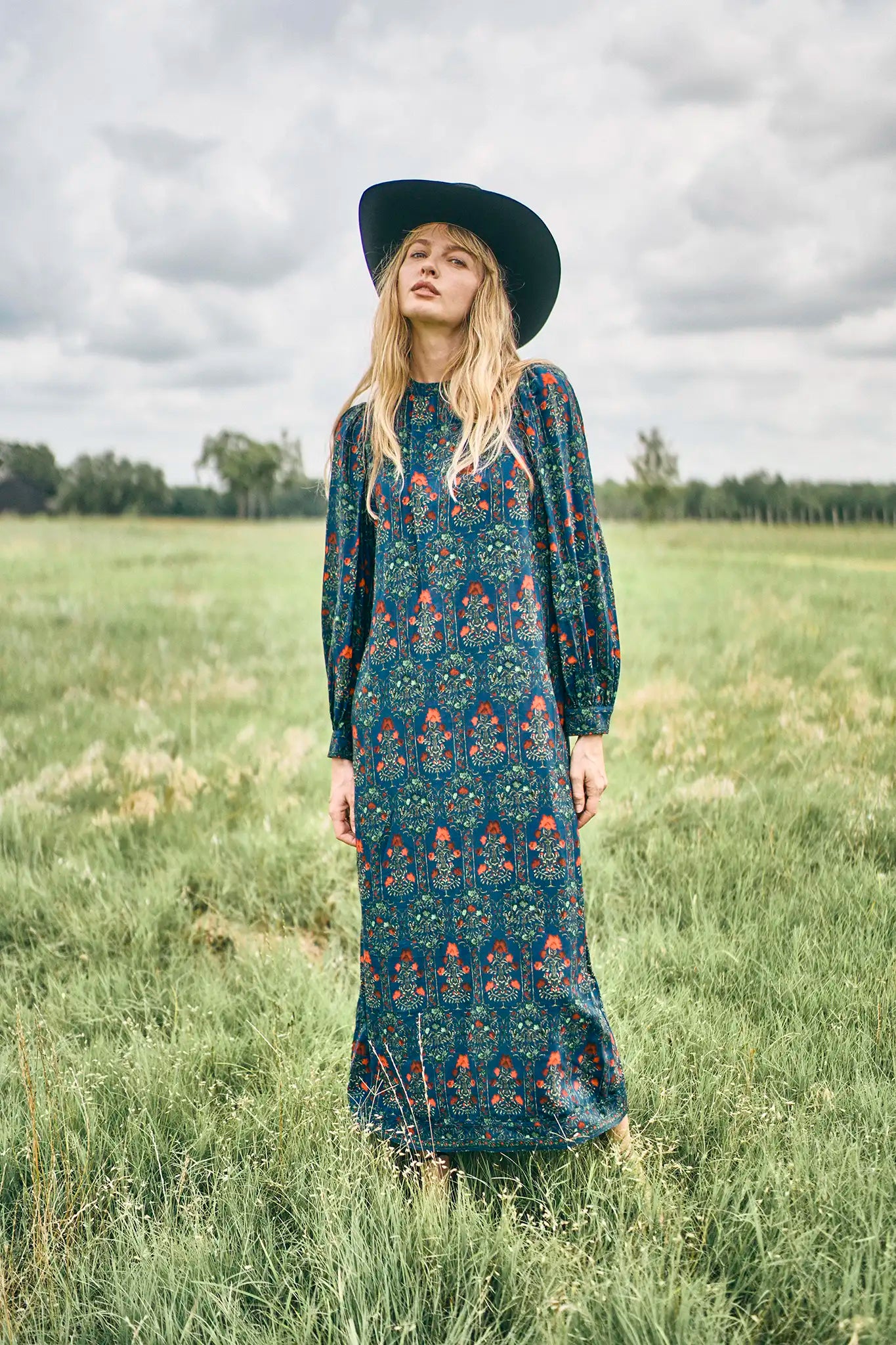 Crosby Dress in Midnight Garden