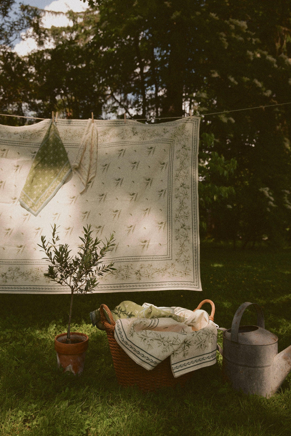 Tablecloth hanging on a clothesline and in a basket showing Olive Branch linen with hand-illustrated olive motif in a garden