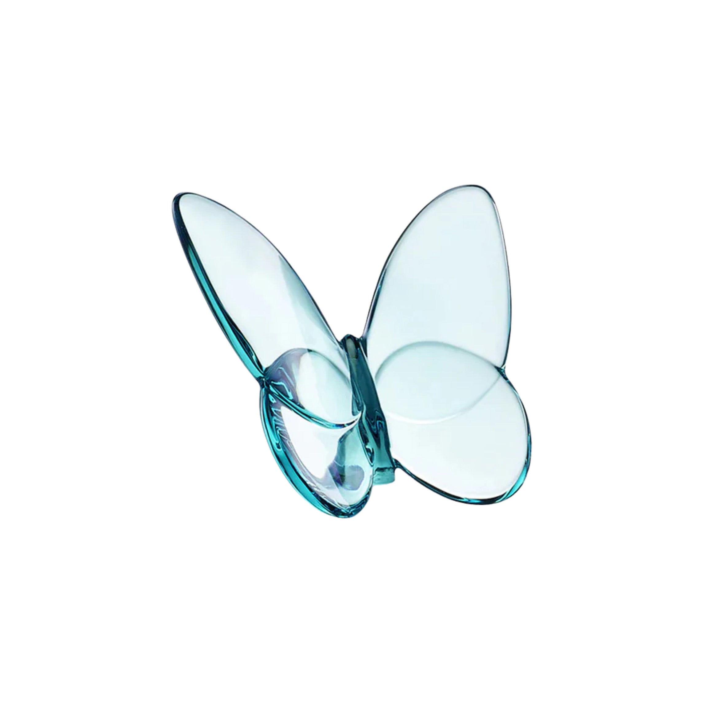 Lucky Butterfly in Turquoise