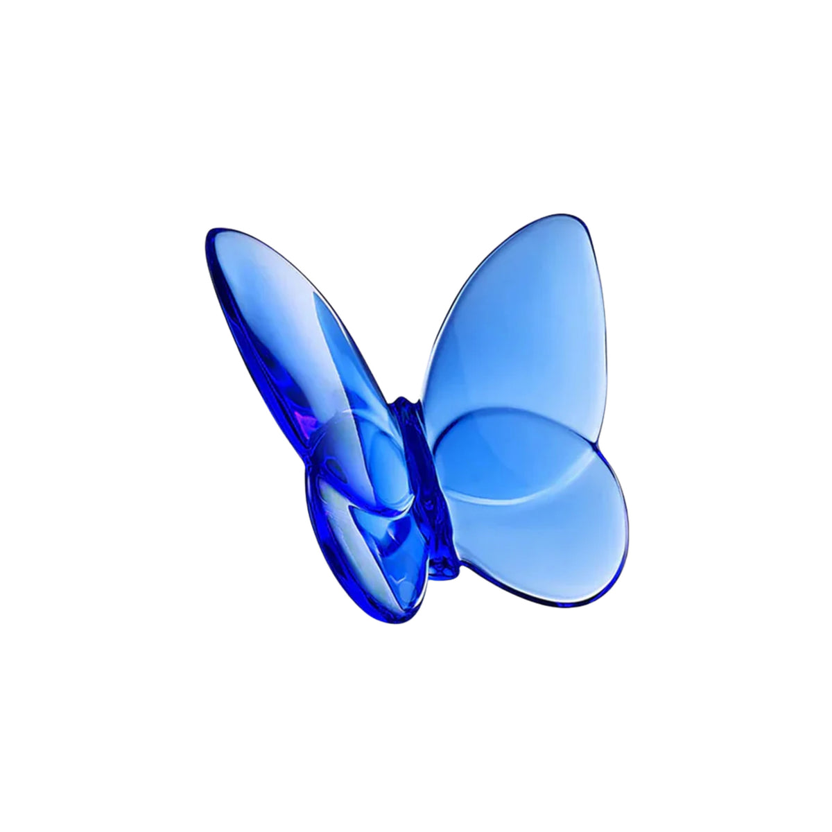 Lucky Butterfly in Blue