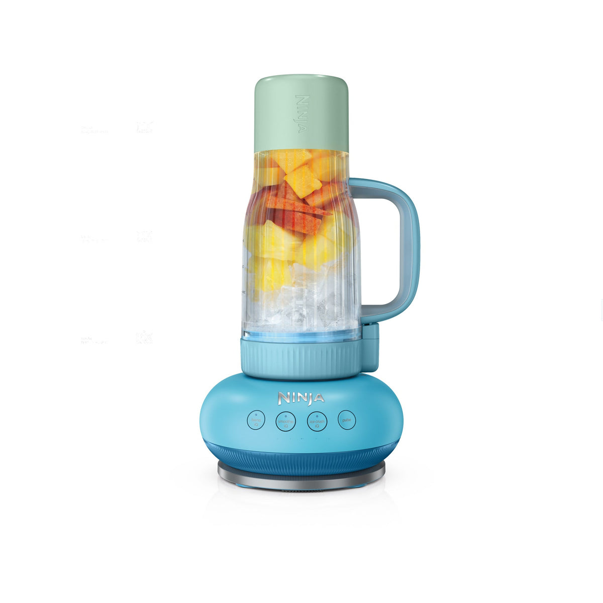 Ninja BlendBOSS Personal Blender w/ 26oz Travel Tumbler, Blue Raspberry