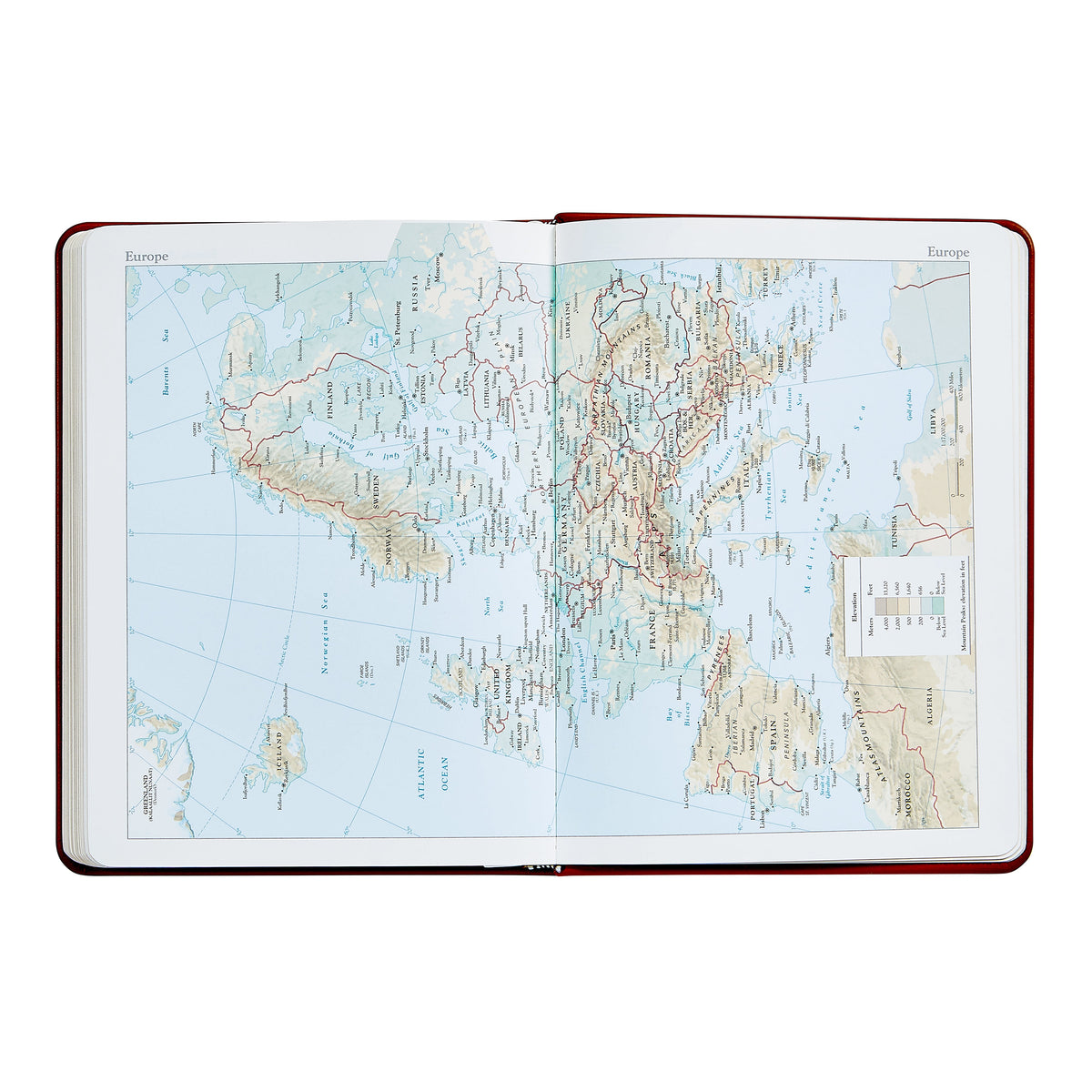 2026 Desk Diary in Bordeaux Leather