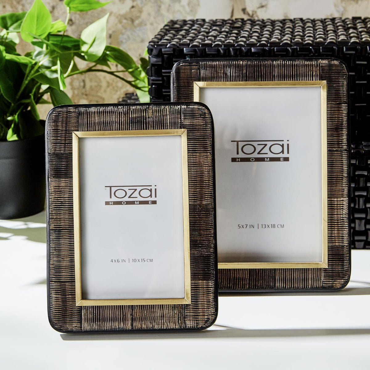 Chiseled Bone Photo Frame, Set of 2