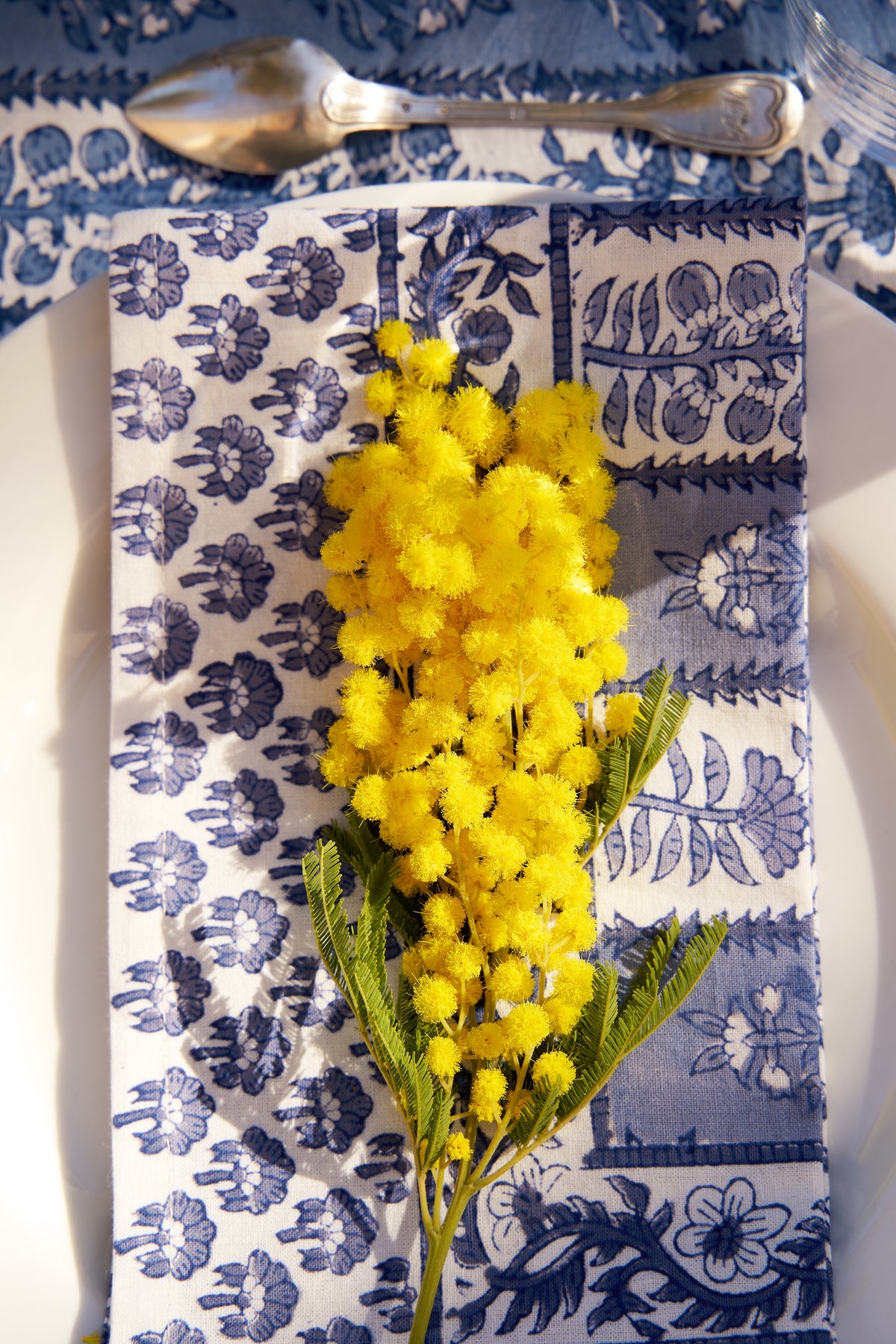 Provence Avignon Napkins in Blue & Marine , Set of 6