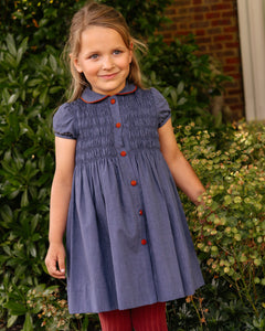 Paris Dress in Chambray