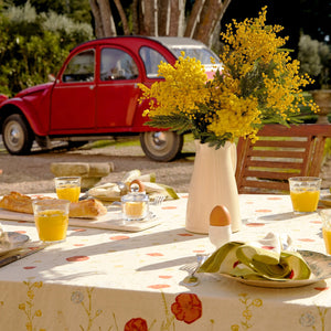 French Tablecloth Springfields