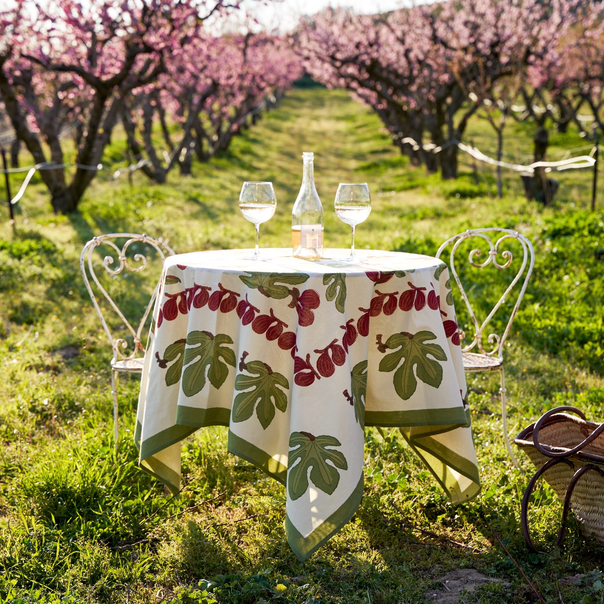 French Tablecloth Fig in red and green displayed on an outdoor table in a flowering orchard