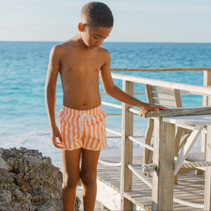 Boys Swizzle Stripe Boardie