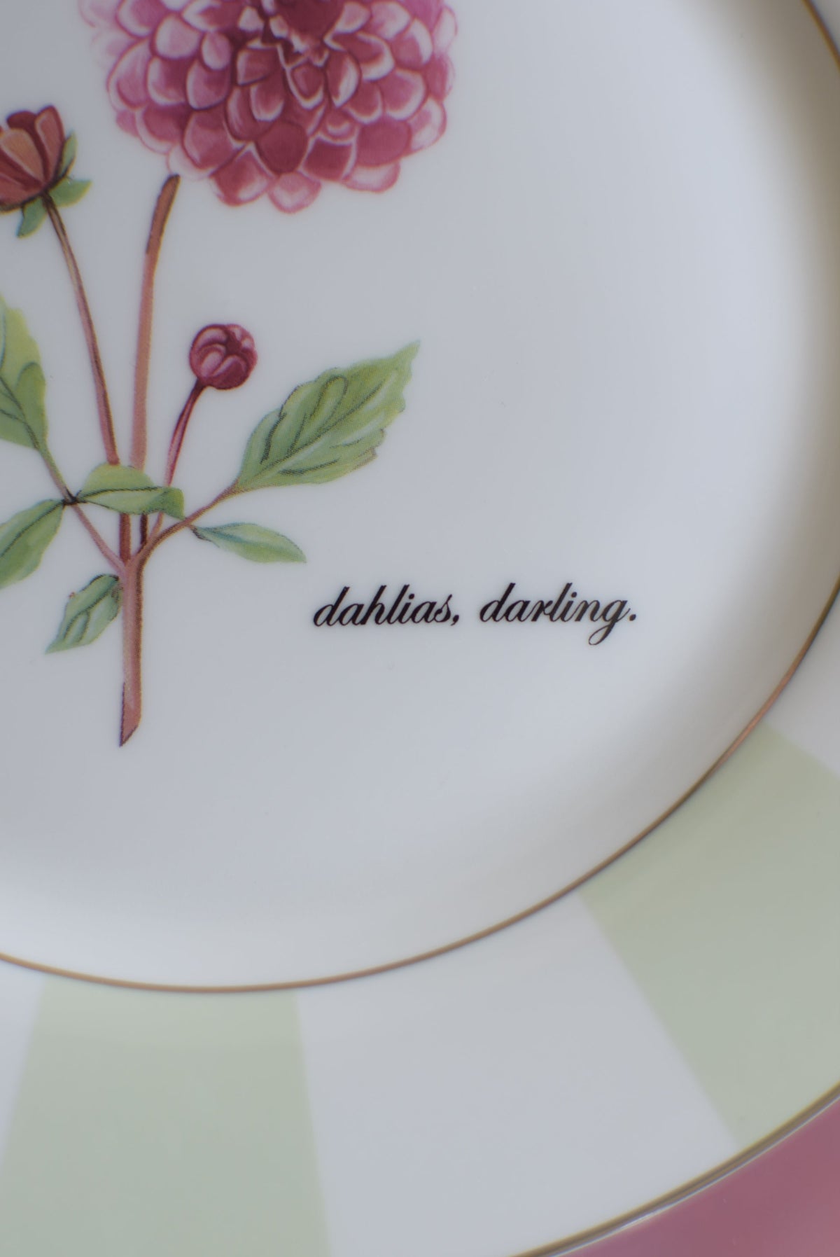 “Dahlias, Darling” Salad Plates, Set of 4
