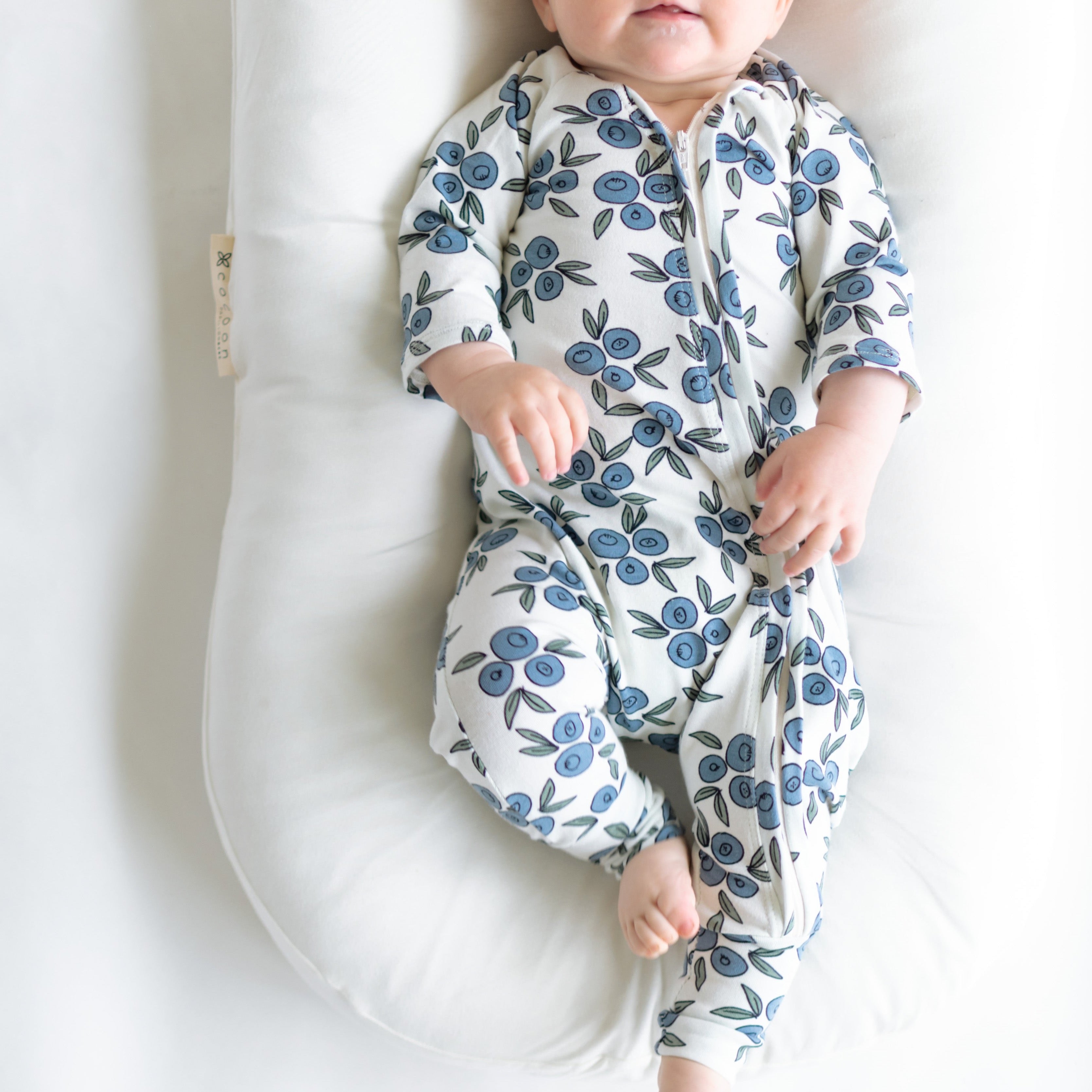 Blueberry Baby Zip Romper