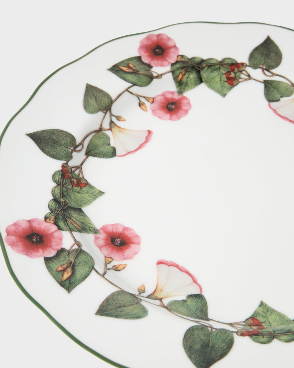 Ciclamino Porcelain Dinner Plate