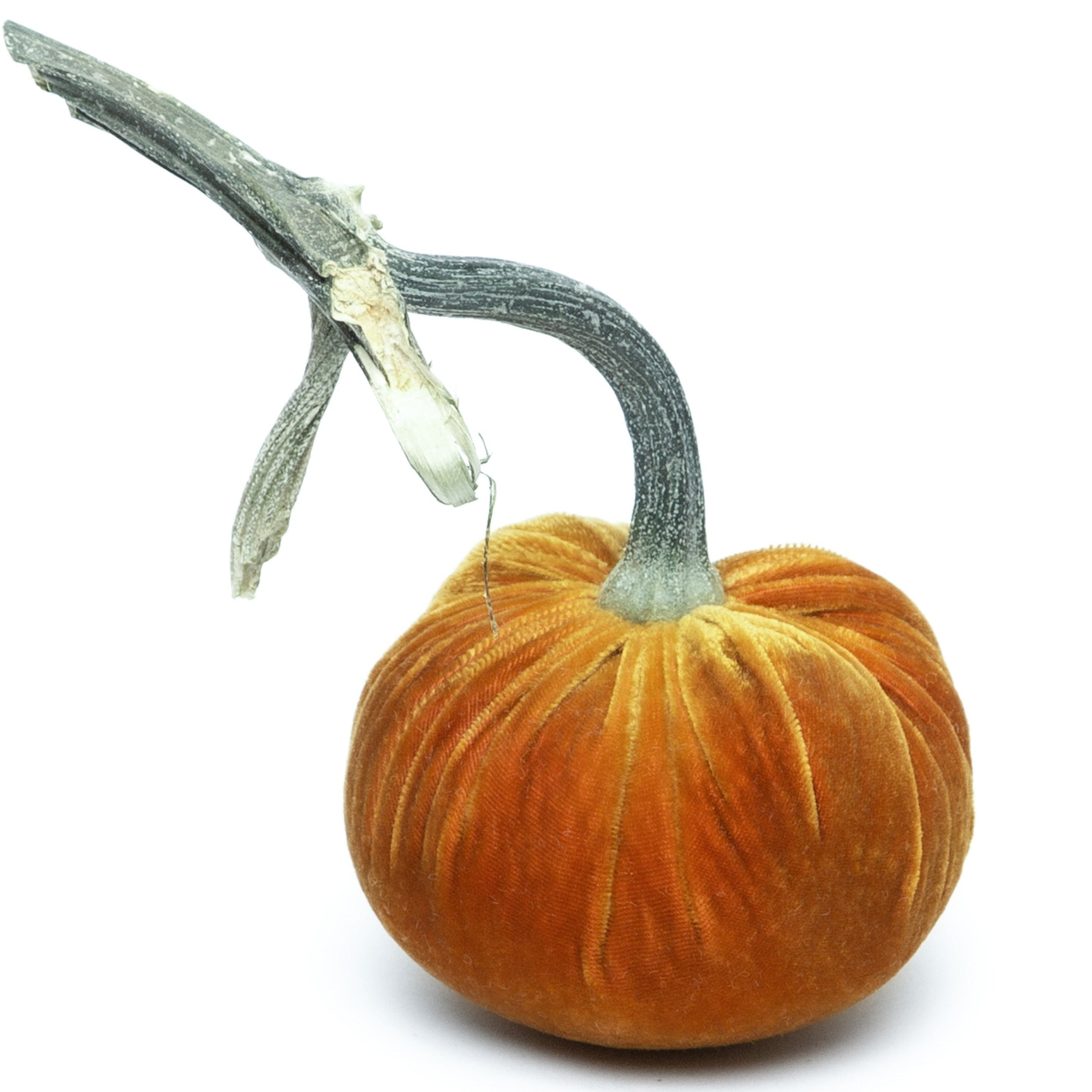 D'or Silk Velvet Pumpkin