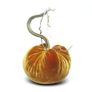 D'or Silk Velvet Pumpkin