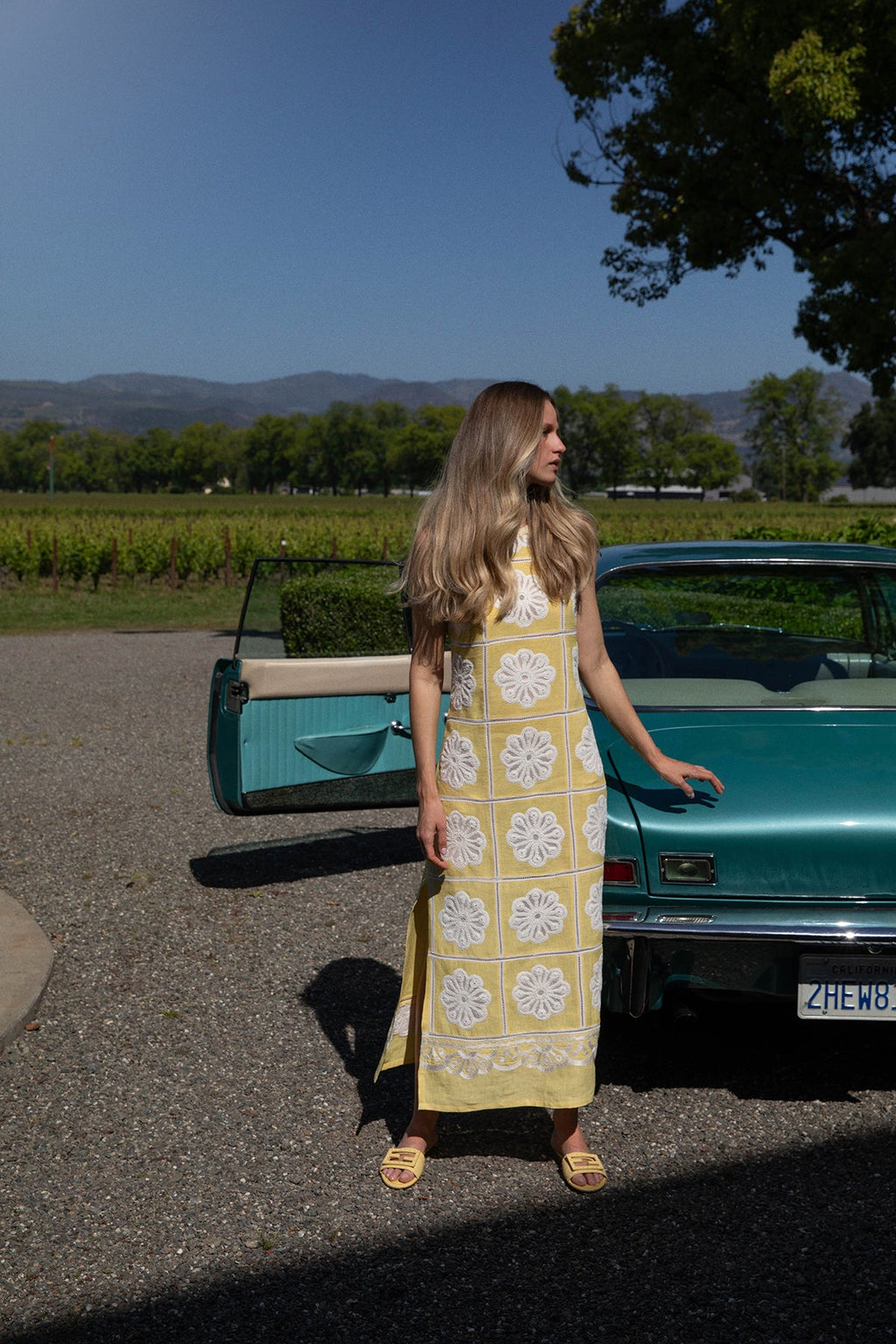 Dandelion Ava Maxi Dress
