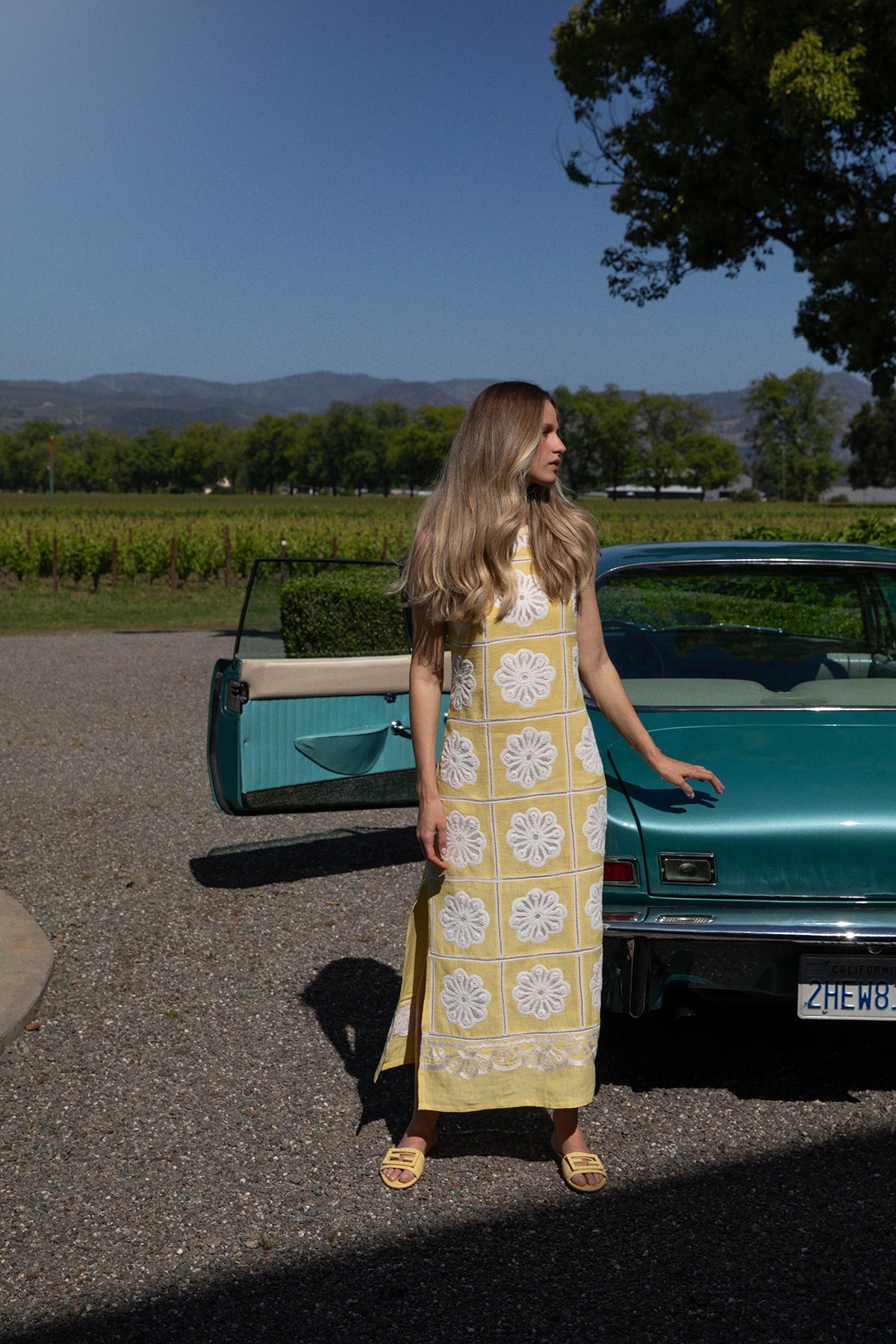Dandelion Ava Maxi Dress