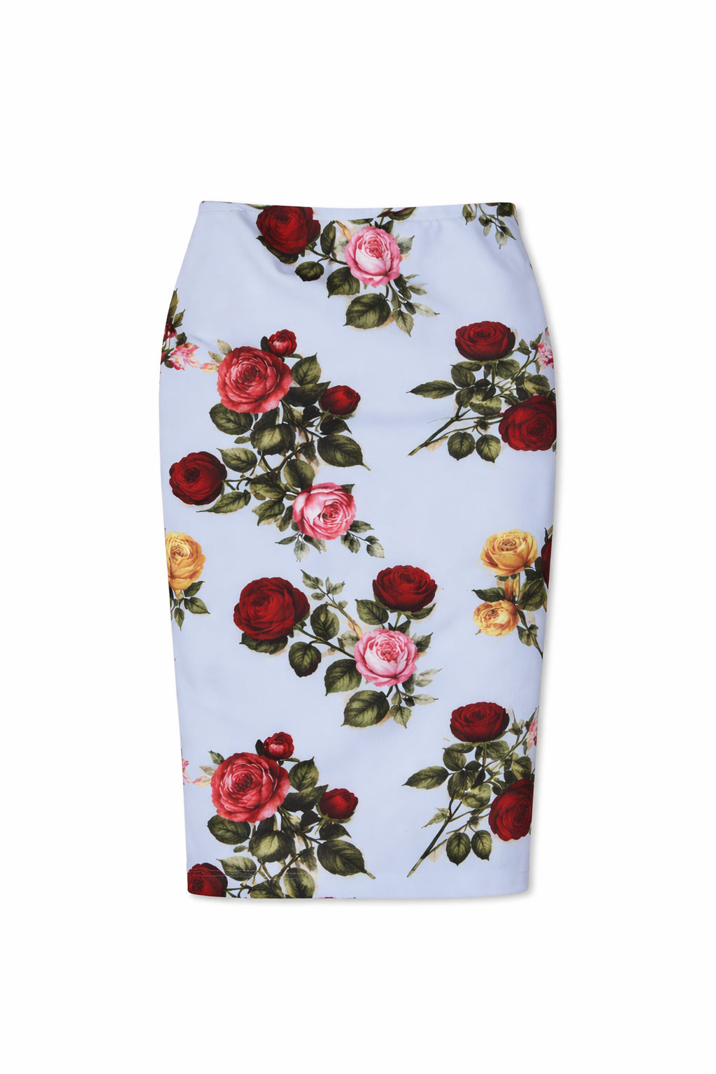 Delicias Skirt in Blue