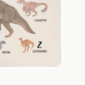 Dinosaur Alphabet (on sale)@deboss detail on mat