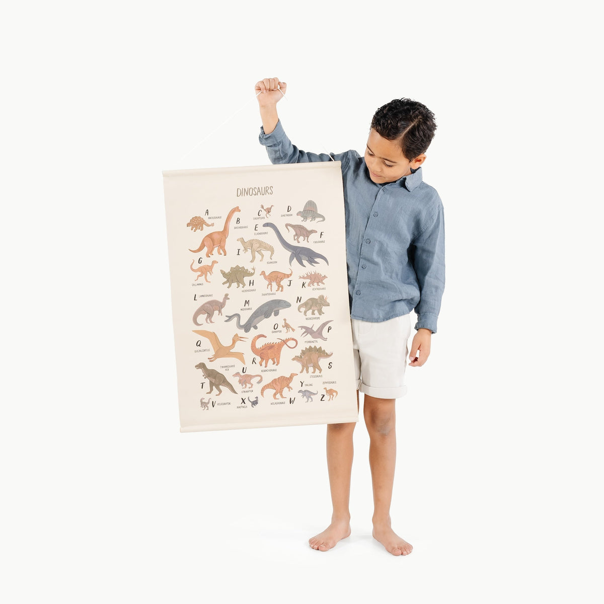 Dinosaur Alphabet (on sale)@little boy holding dinosaur poster