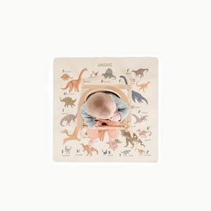 Dinosaur Alphabet @overhead of baby in highchair on mini