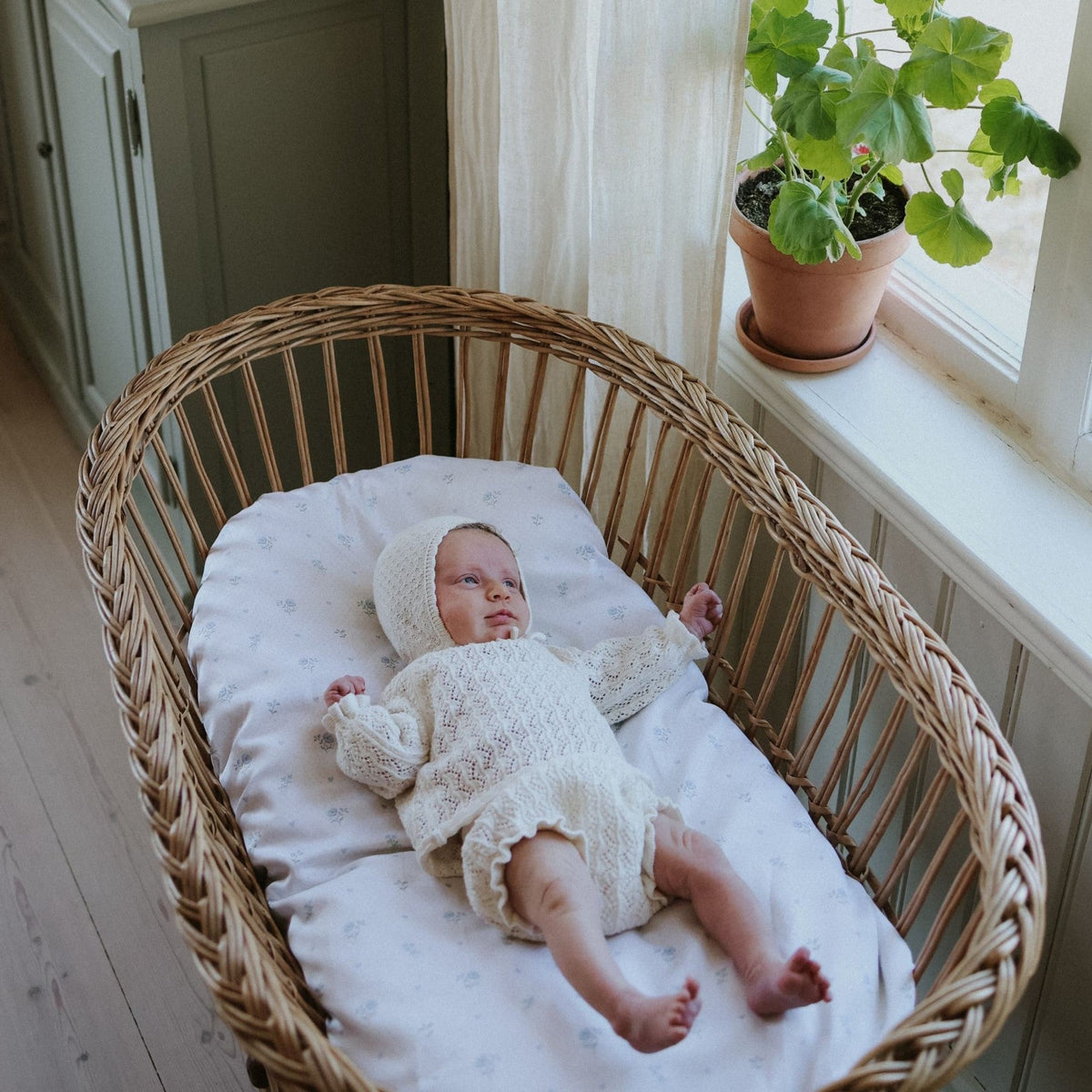 Newborn baby in a wicker crib with white bedding, next to a window with a plant.