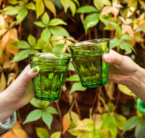 Le Picardie Green Tumbler, Set of 6