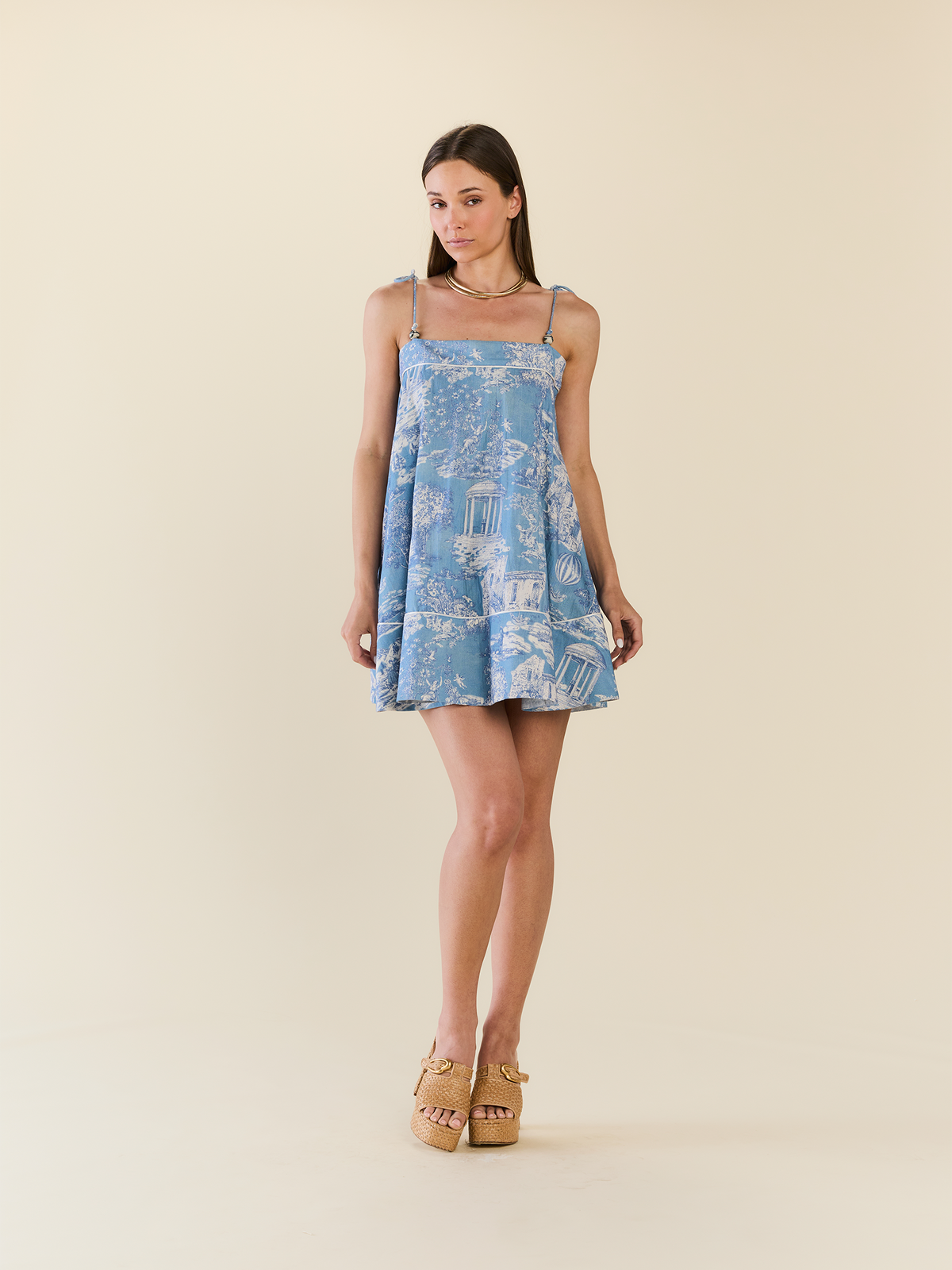 Elizabeth Dress in Forever Toile