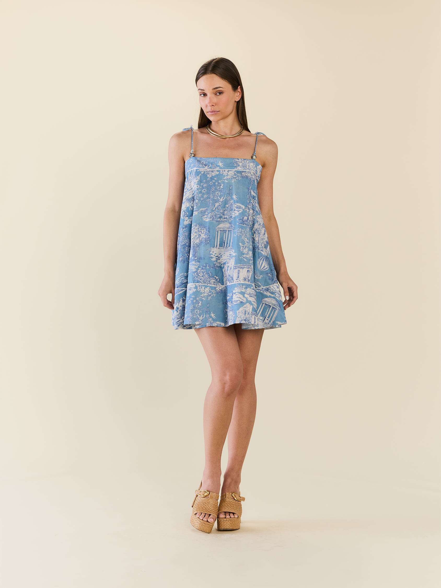Elizabeth Dress in Forever Toile