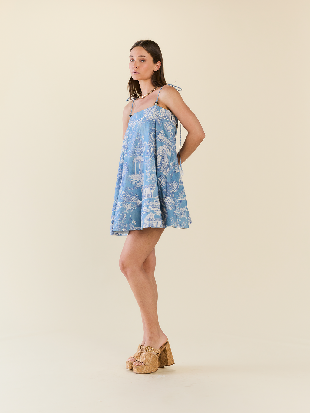 Elizabeth Dress in Forever Toile