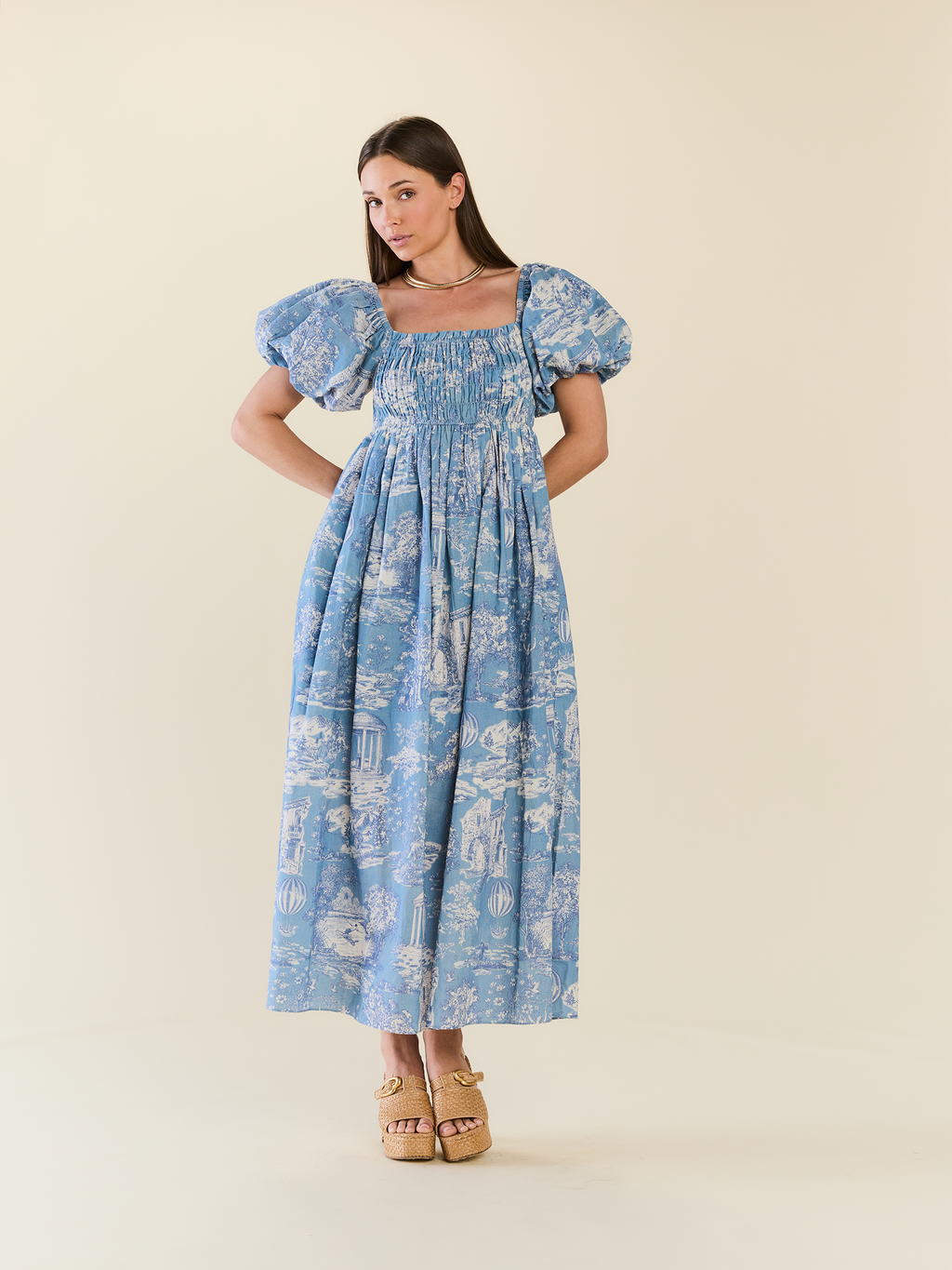 Aurora Dress in Forever Toile