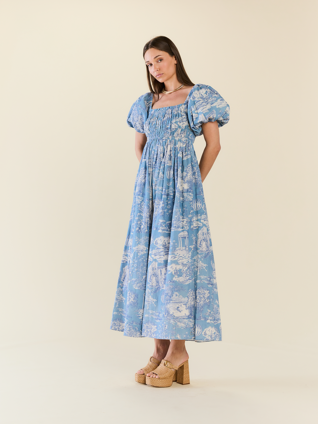 Aurora Dress in Forever Toile