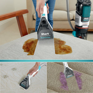 CarpetXpert with Stainstriker Carpet Cleaner