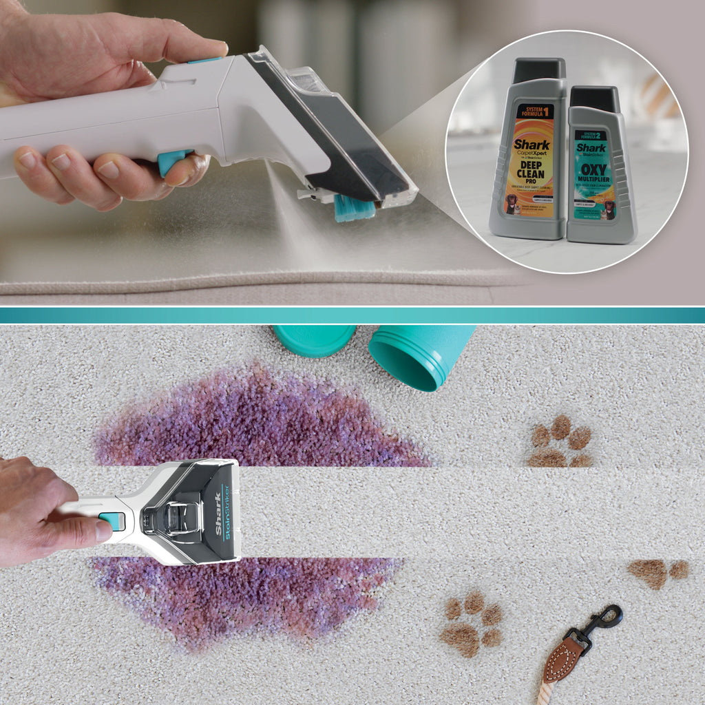 CarpetXpert with Stainstriker Carpet Cleaner