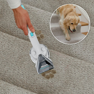 CarpetXpert with Stainstriker Carpet Cleaner