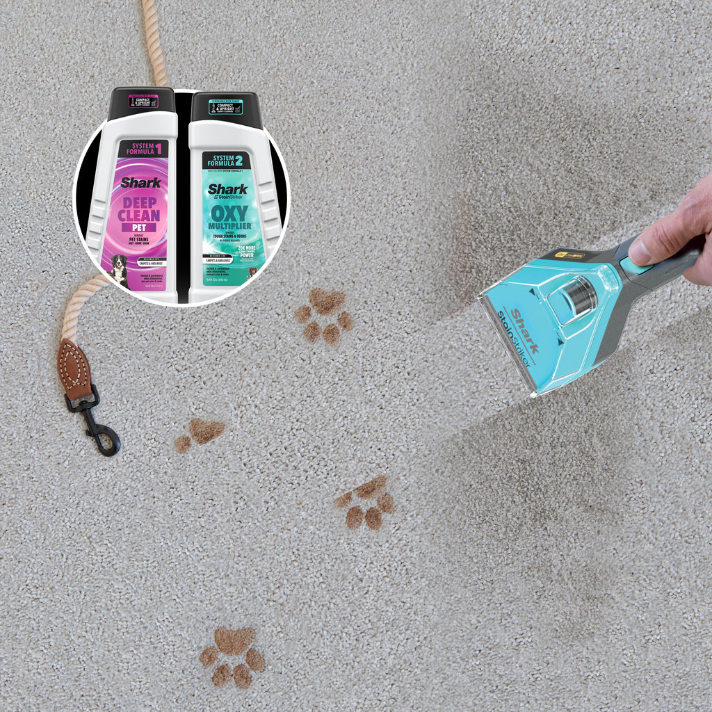 CarpetXpert HairPro Carpet Cleaner w/ StainStriker