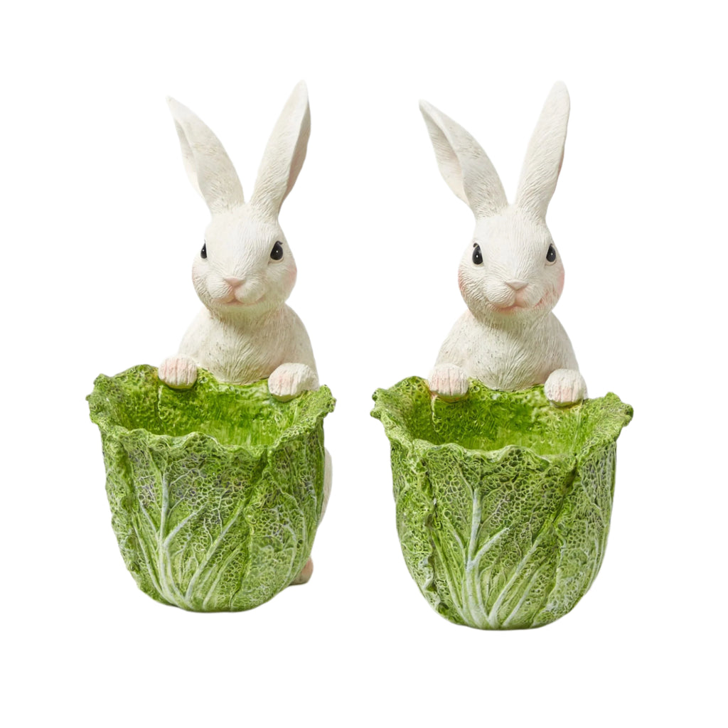 Cabbage Bunny Bowl, Set of 2