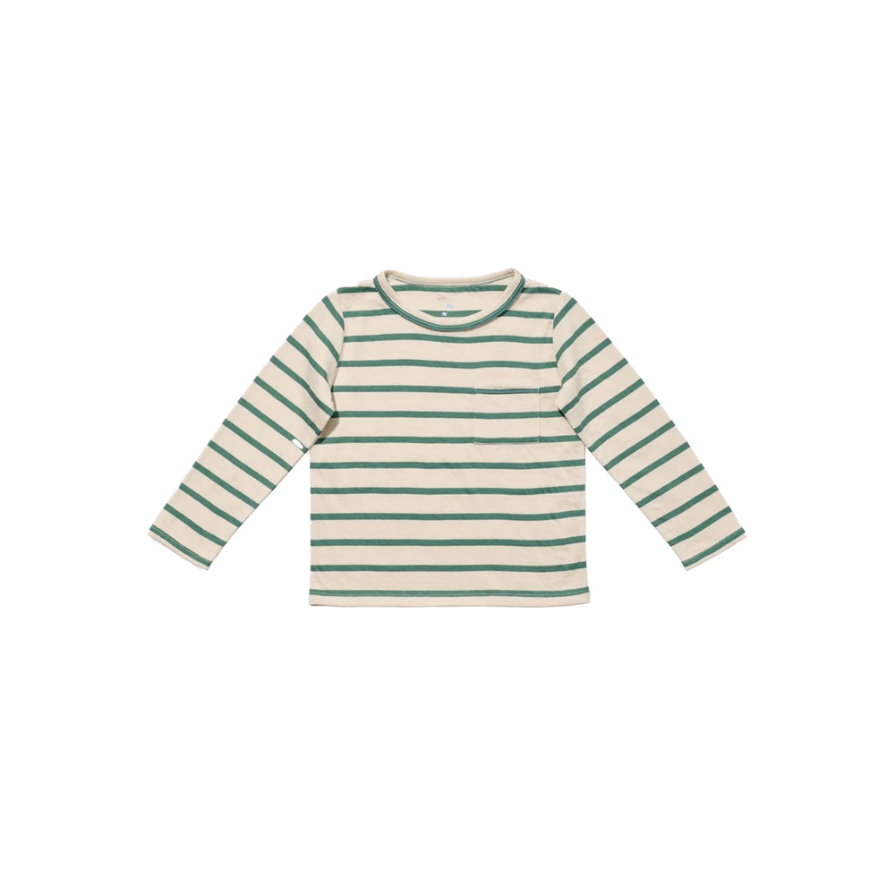 Front view of Edward T-shirt in pine stripe showing long sleeves, chest pocket, and contrast neck piping on white background