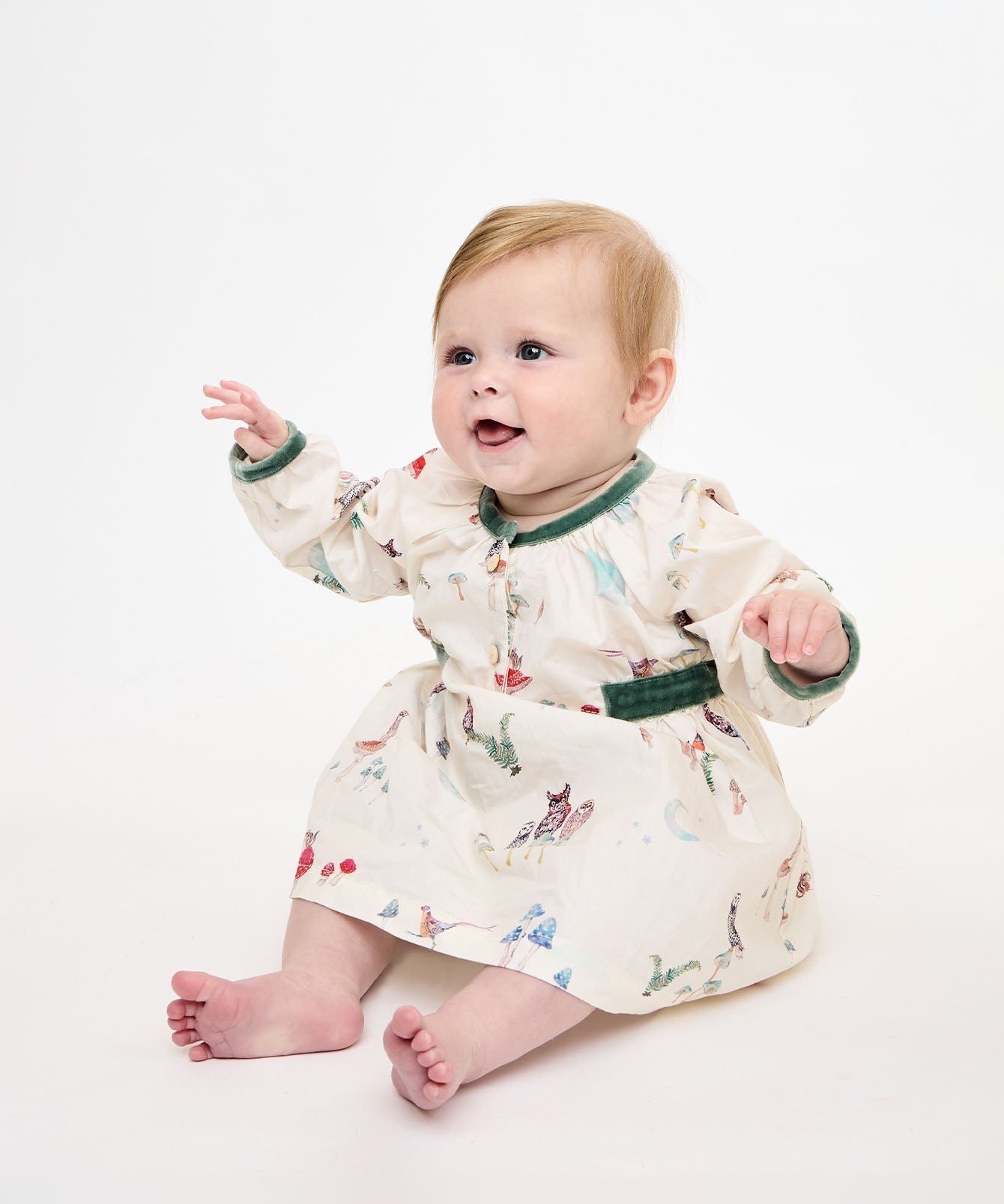 Elizabeth Baby Dress in Forest Friends