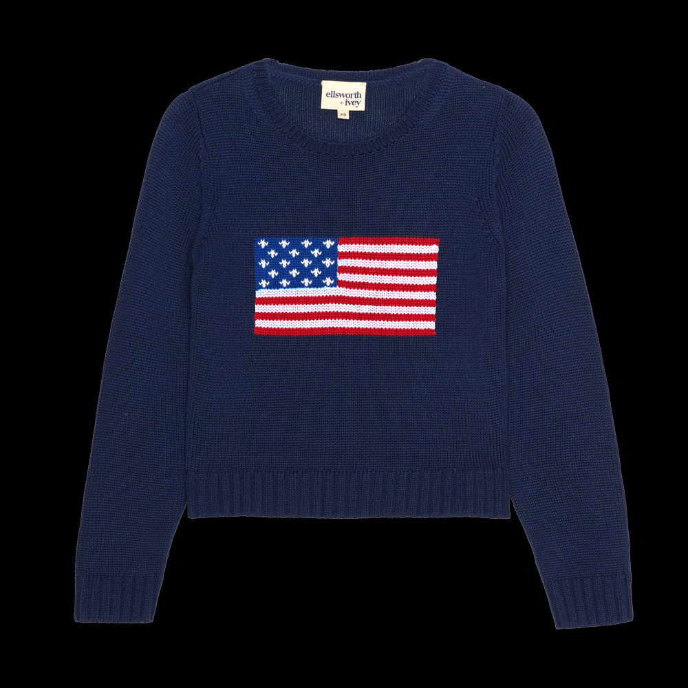American Flag Fashion Crewneck Sweater in Navy