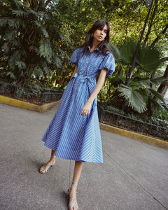 Elza Dress in French Blue/White Multi