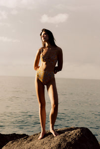 The Rose Bottom in Periwinkle Coral