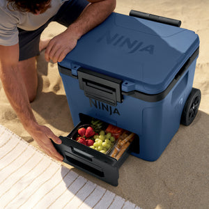 FrostVault 30 qt Wheeled Cooler with Cold Dry Zone in Lakeshore Blue