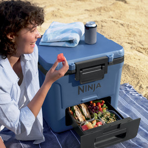 FrostVault 30 qt Wheeled Cooler with Cold Dry Zone in Lakeshore Blue