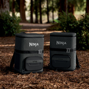 FrostVault Go 24 Can Backpack Soft Cooler in Charcoal Gray