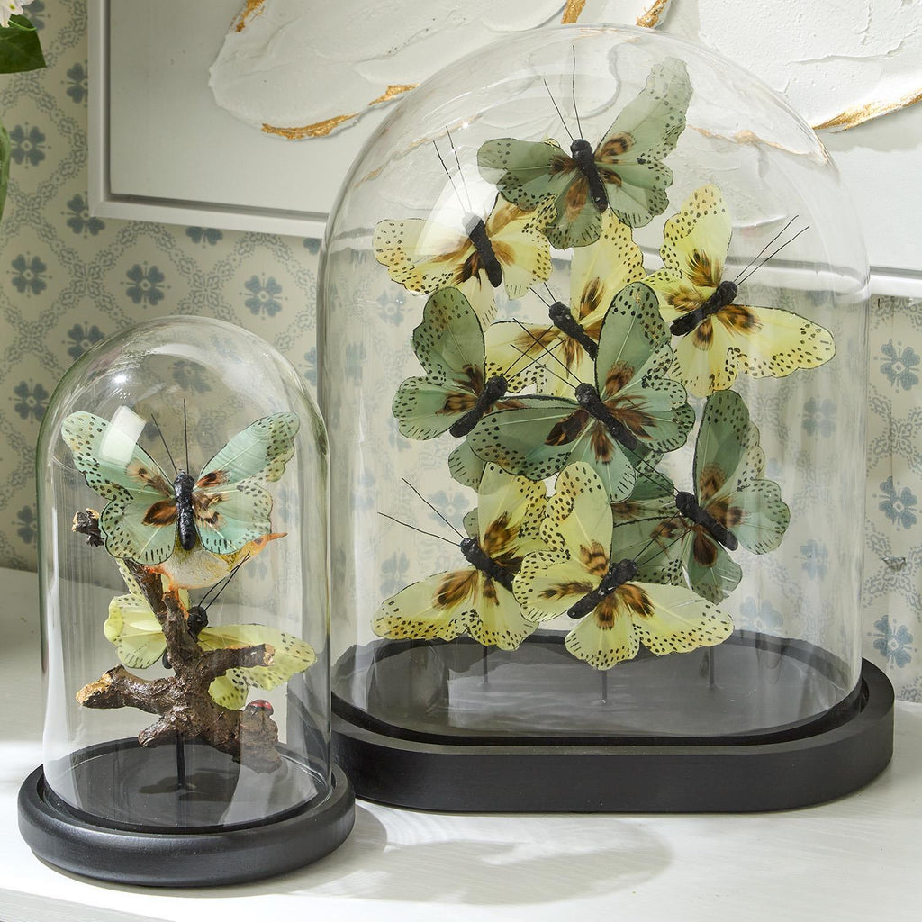 Flora and Fauna Butterfly & Bird Sculpture in Round Dome