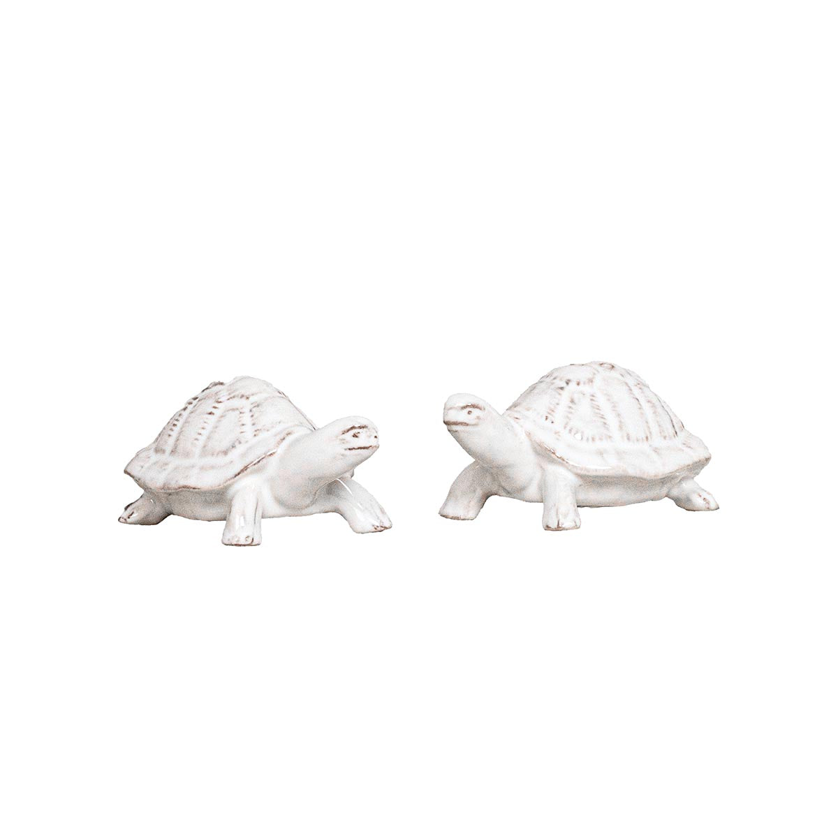 Clever Creatures Turtle Salt and Pepper, Set of 2