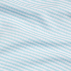 Long Sleeve Polo in Sky Stripe