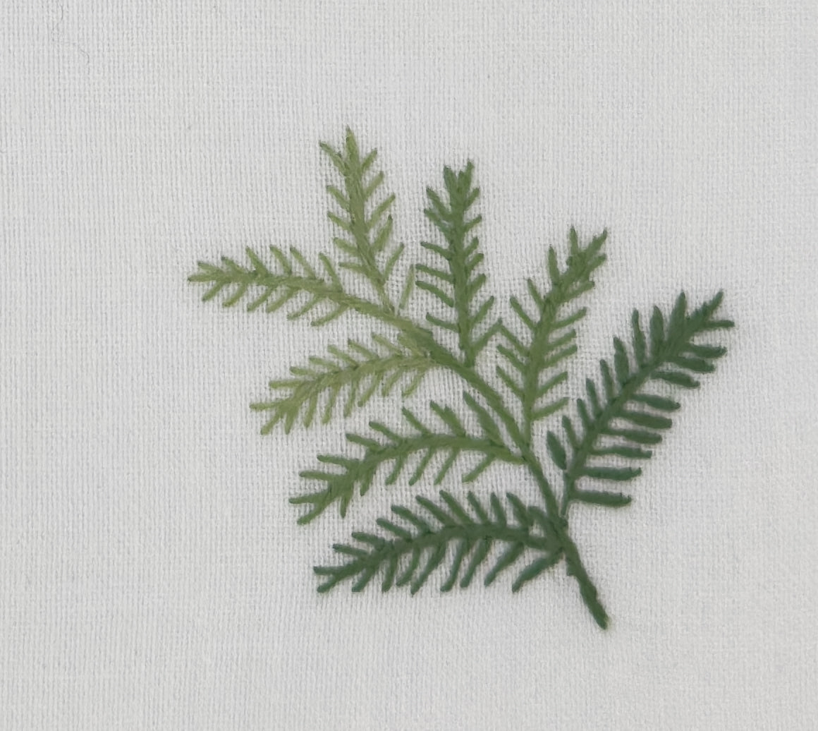 Fern Cocktail Napkins