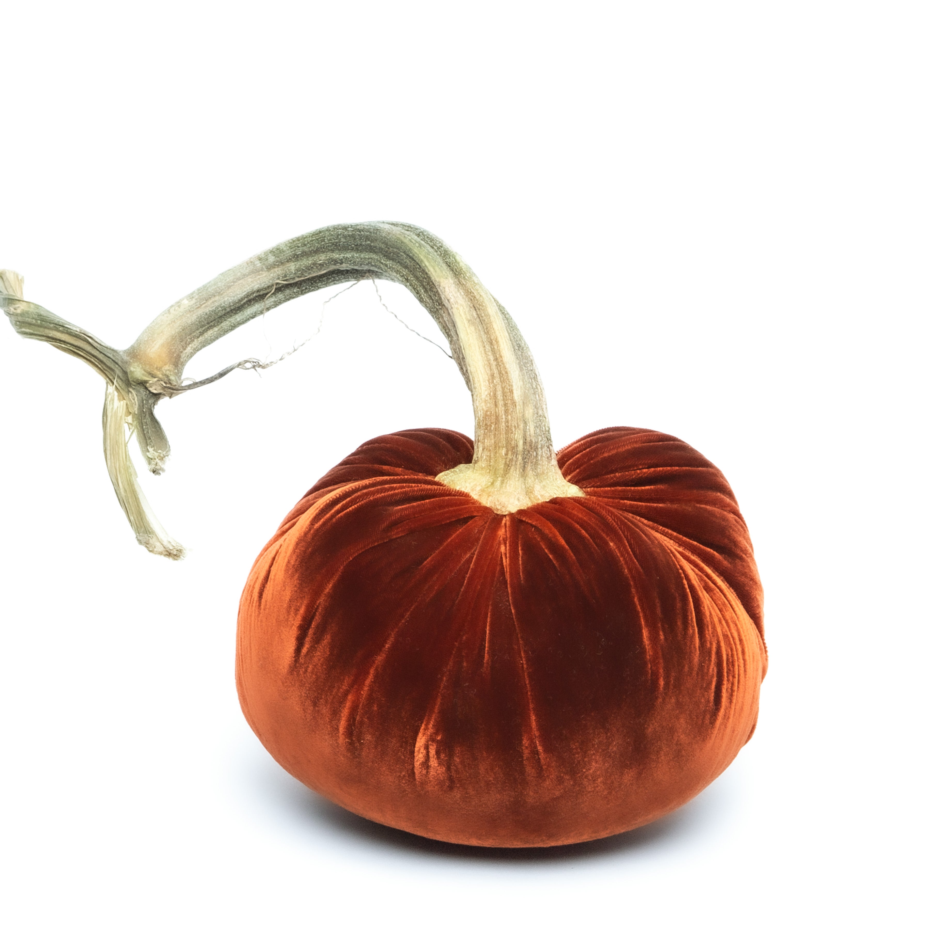 Fire Silk Velvet Pumpkin