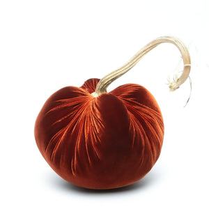 Fire Silk Velvet Pumpkin